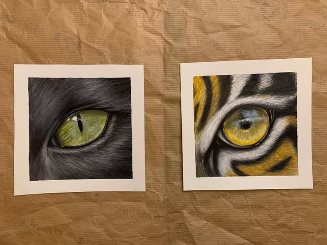Zwei kleine Zeichnungen eines grünen Katzenauges und eines gelben Tigerauges auf braunem Papier